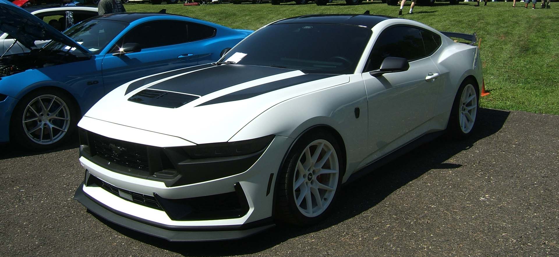 Mustang on display