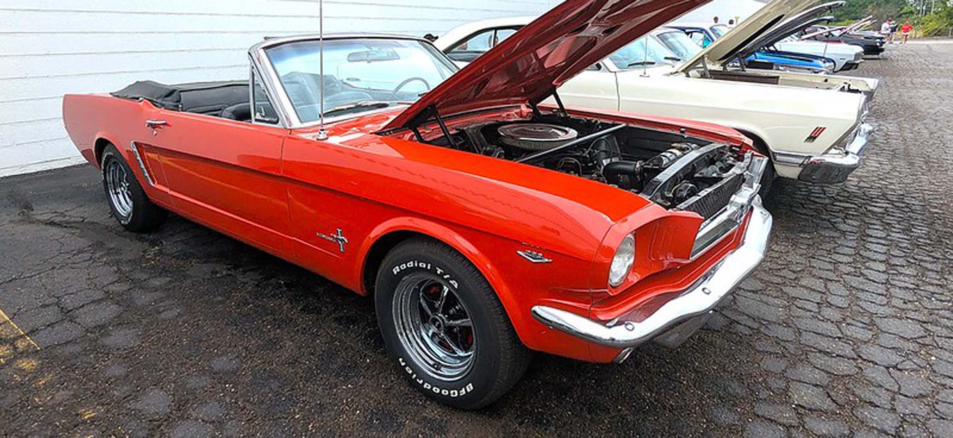 Mustang on display