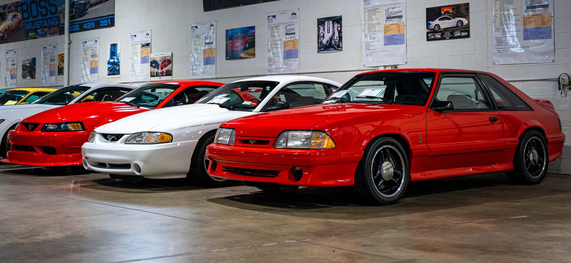 Mustang on display